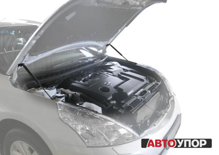 Амортизаторы капота Автоупор для Nissan Teana II (2008-2011 / 2011-2014)
