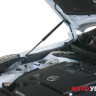 Амортизаторы капота Автоупор для Nissan Teana II (2008-2011 / 2011-2014)