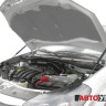 Амортизаторы капота Автоупор для Renault Sandero StepWay I (2010-2014)