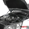 Амортизаторы капота Автоупор для Datsun mi-DO I (2015-)