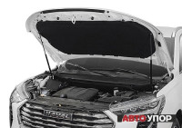 Амортизаторы капота Автоупор для Haval Jolion (2021-)