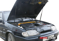 Амортизаторы капота Автоупор для ВАЗ 2114 I (2001-2013)